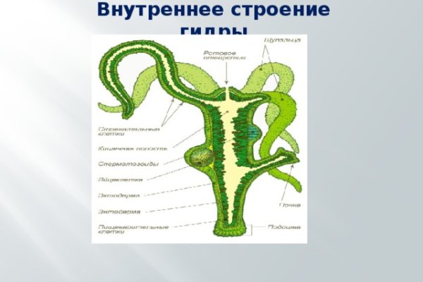 Кракен новый сайт