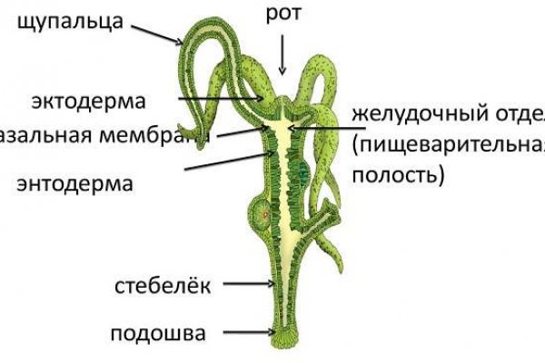 Кракен даркнет аккаунт